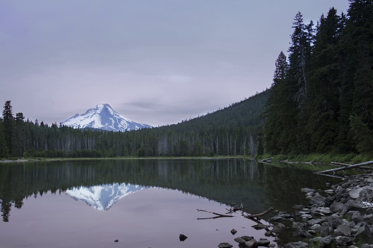 A snow-capped peak reflected in a still mountain lake, with dark pines along the shore and a pale evening sky.
